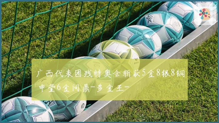 广西代表团残特奥会斩获5金8银8铜 申莹6金问鼎-多金王-